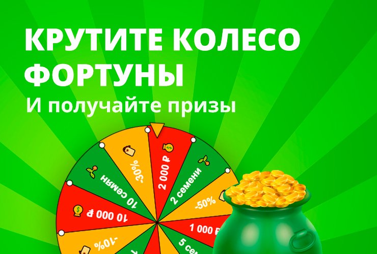 Колесо удачи выиграй семена