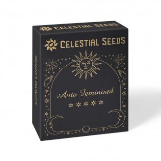 Семена марихуаны сорт Gorilla Berry Auto Fem.