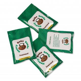 Семена марихуаны сорт Tutankhamon Fem.